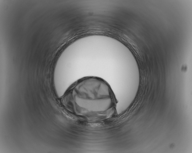 X0000096440370200802211216