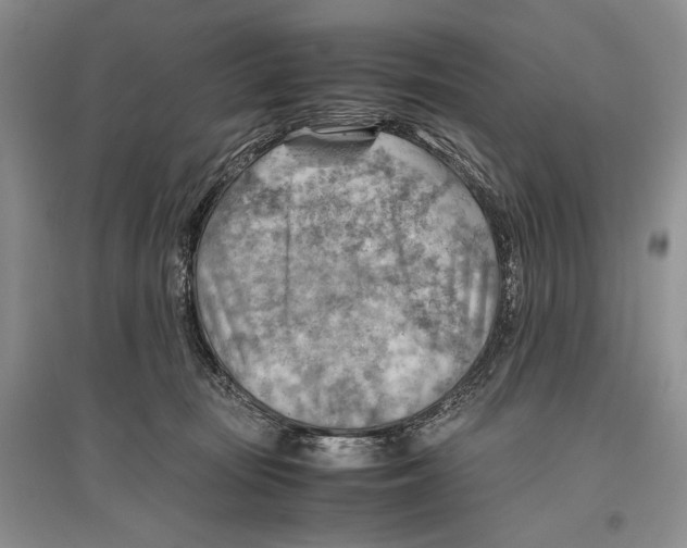 X0000096440371200802211216