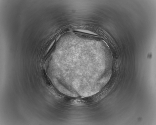 X0000096440372200802211216