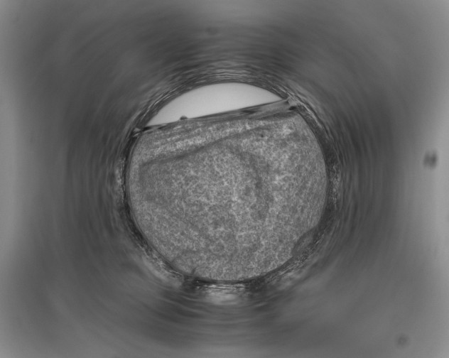 X0000096440373200802211216