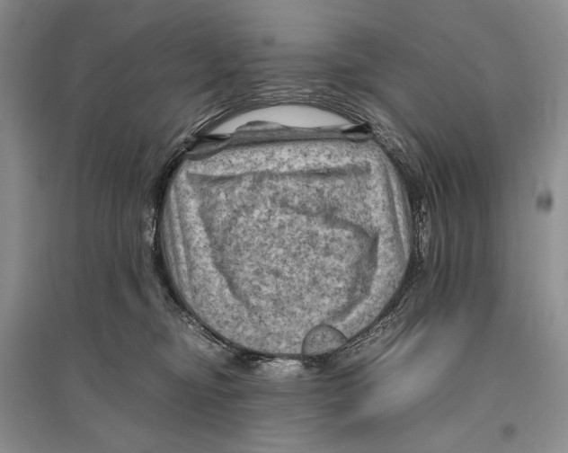 X0000096440374200802211216