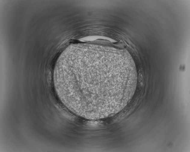 X0000096440375200802211216