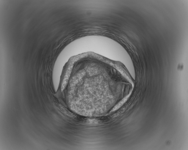 X0000096440376200802211216