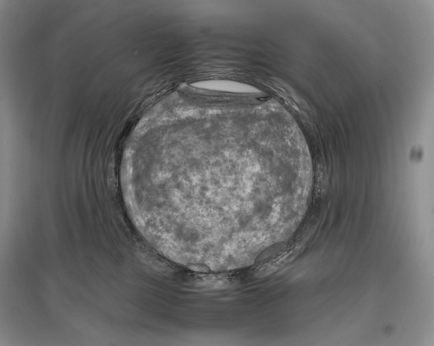 X0000096440377200802211216