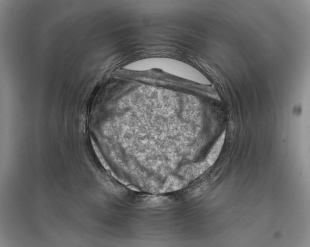 X0000096440379200802211216