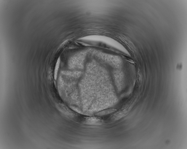 X0000096440380200802211216