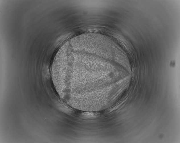 X0000096440381200802211216