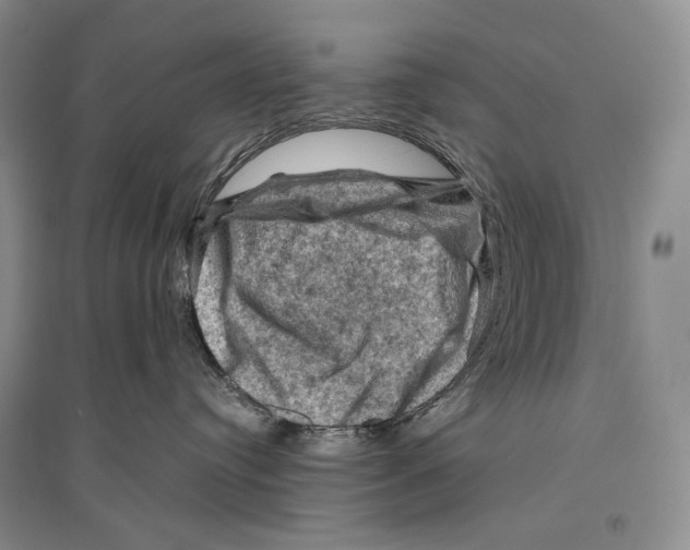 X0000096440384200802211216