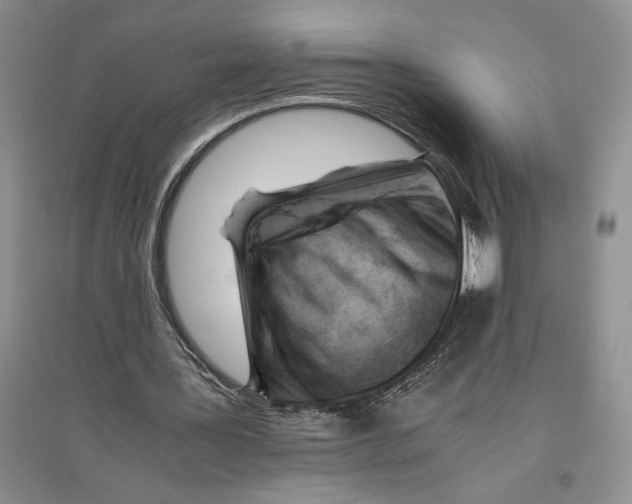 X0000096440387200802211216