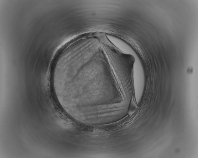 X0000096440388200802211216