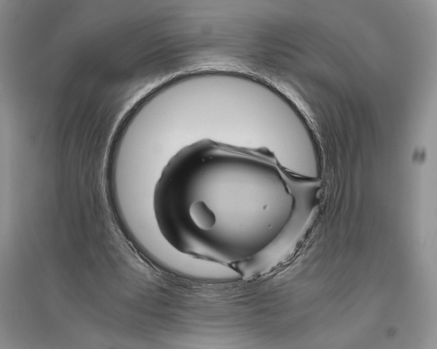 X0000096440391200802211216