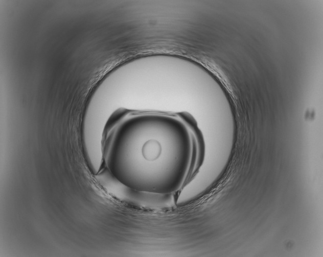 X0000096440393200802211216