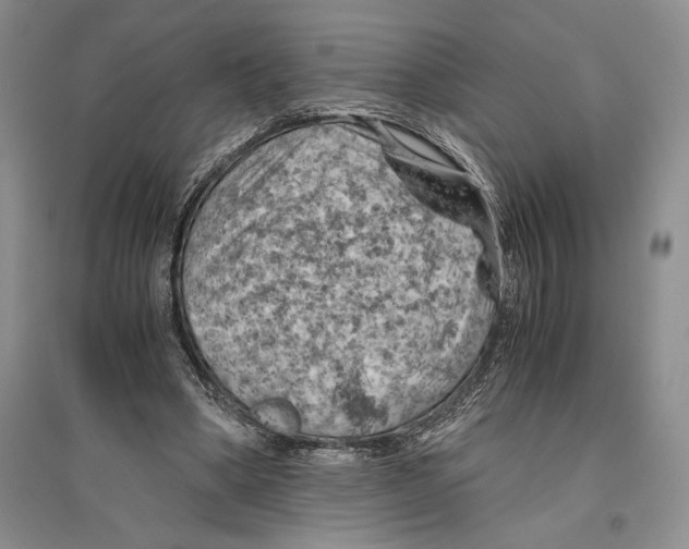 X0000096440394200802211216