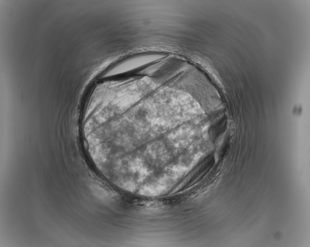 X0000096440395200802211215