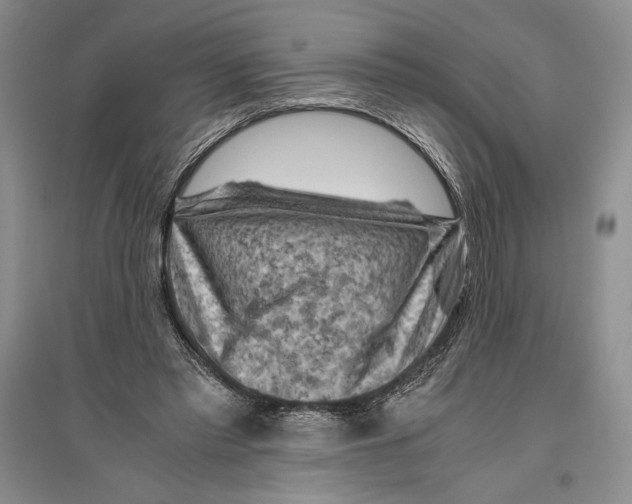 X0000096440397200802211215