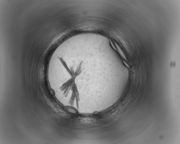 X0000096440400200802211215