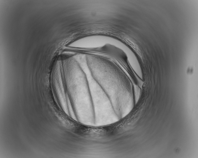 X0000096440401200802211215