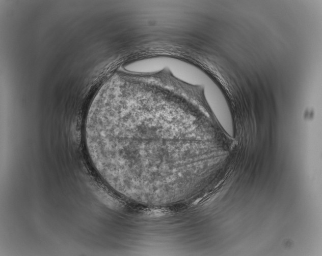 X0000096440402200802211215