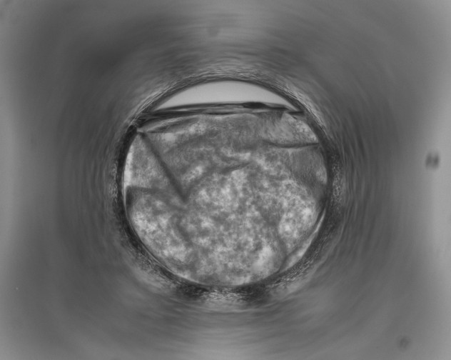 X0000096440403200802211215