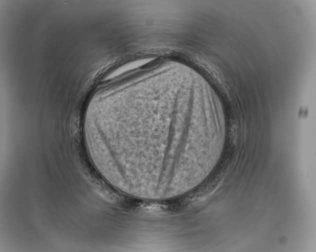 X0000096440407200802211215