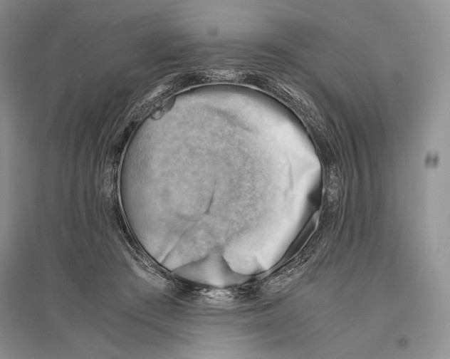 X0000096440409200802211215