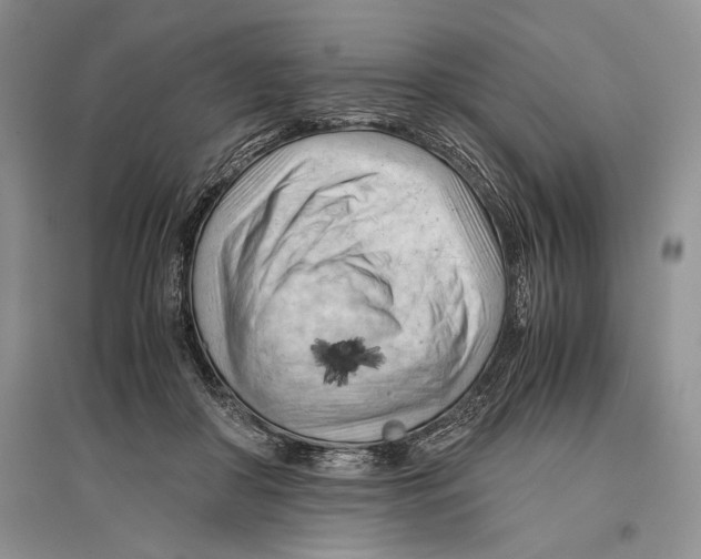 X0000096440410200802211215