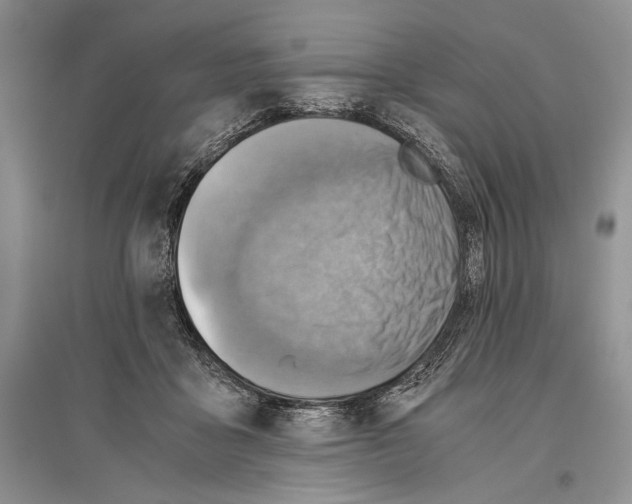 X0000096440411200802211215