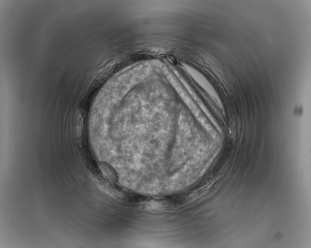 X0000096440412200802211215