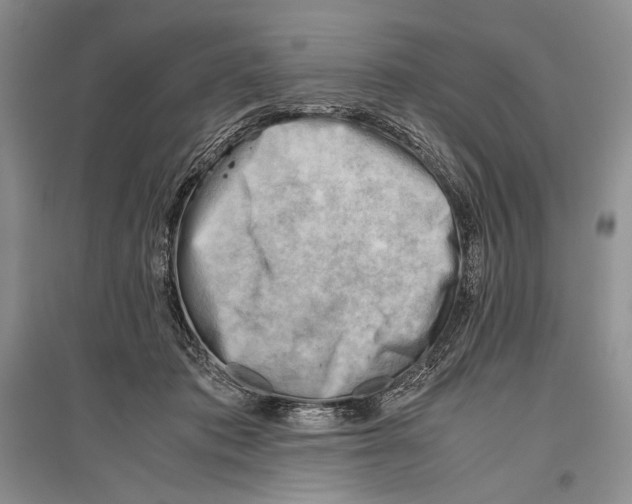 X0000096440413200802211215