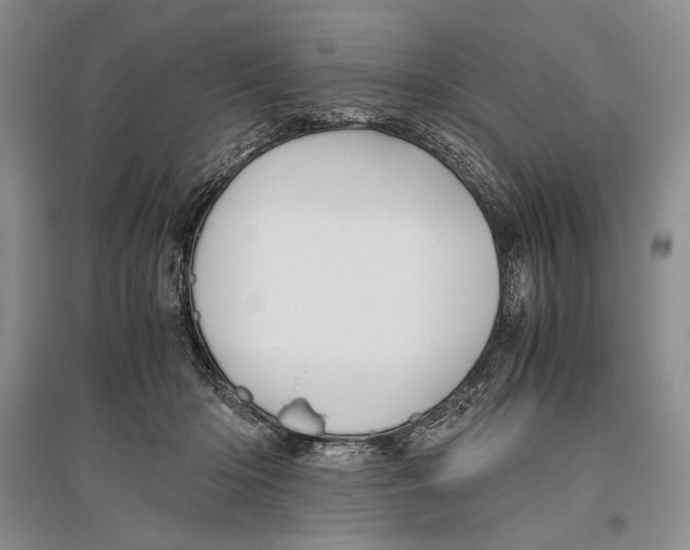 X0000096440414200802211215