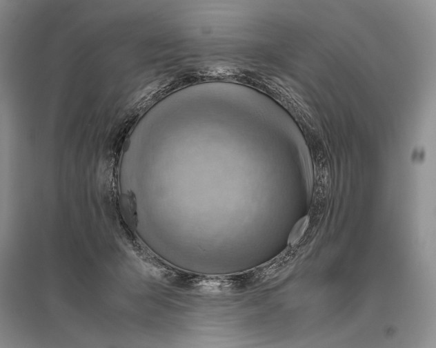 X0000096440415200802211215