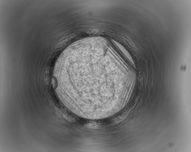 X0000096440416200802211215