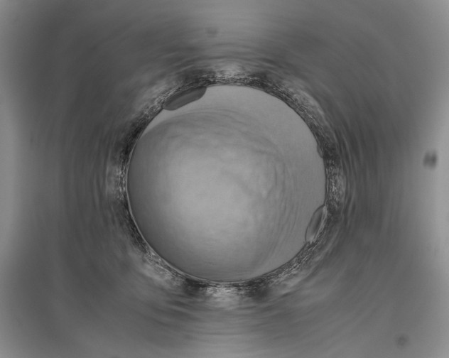 X0000096440419200802211215