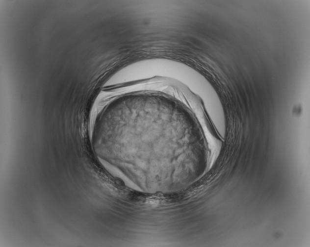 X0000096440420200802211215