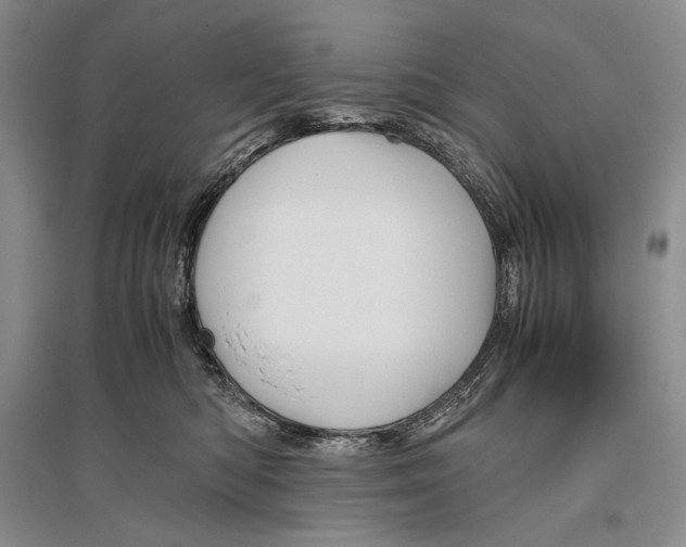 X0000096440422200802211215