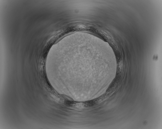 X0000096440423200802211215