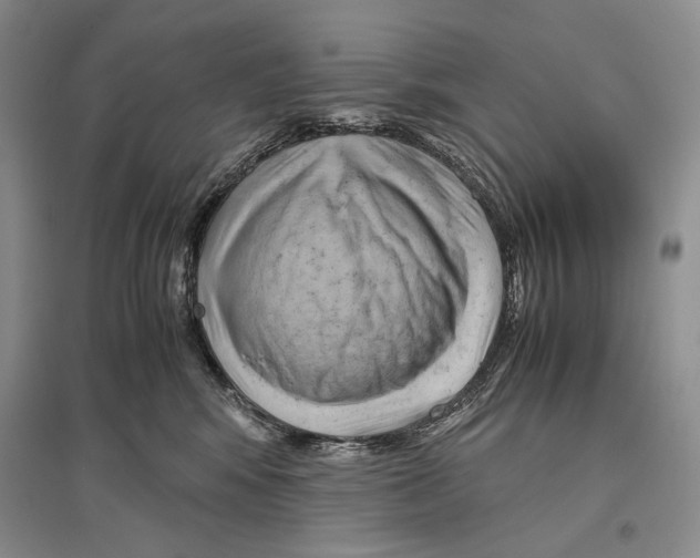 X0000096440424200802211215