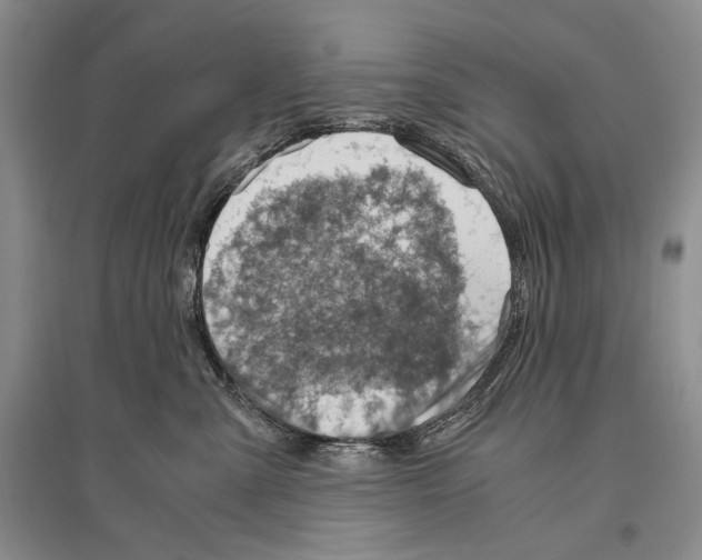 X0000096440427200802211215