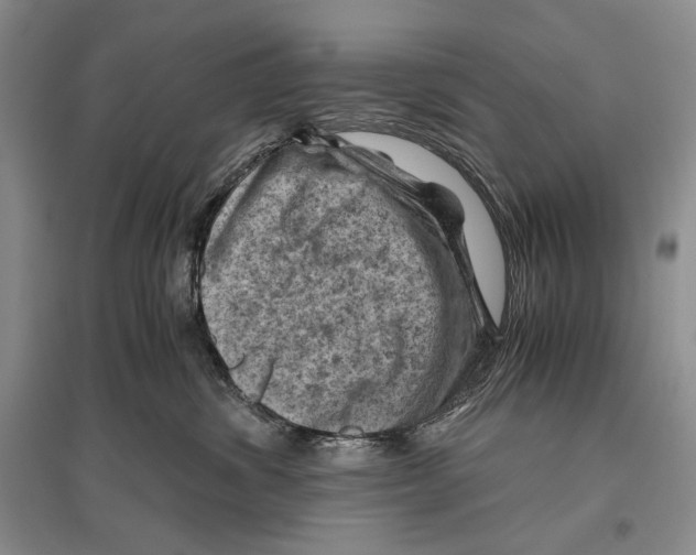 X0000096440428200802211215