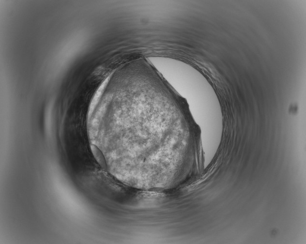 X0000096440429200802211215