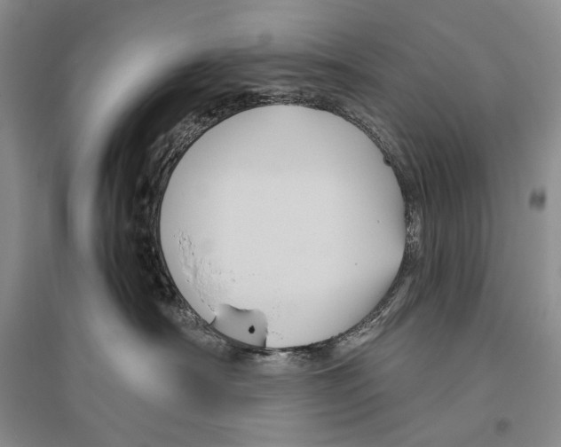 X0000096440430200802211215