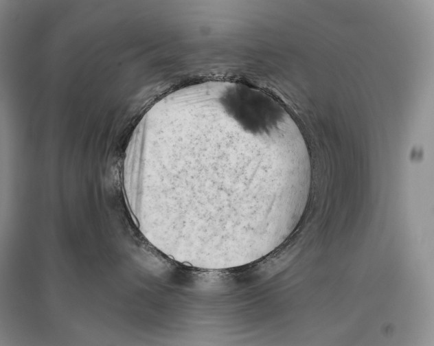 X0000096440432200802211215