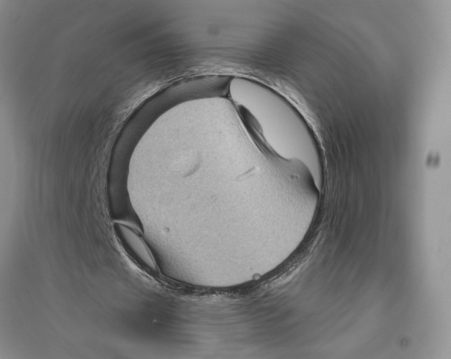 X0000096440433200802211214