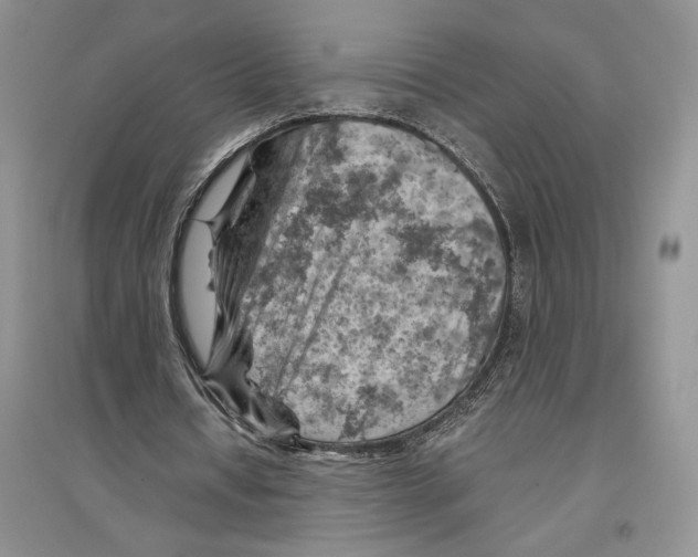 X0000096440434200802211214