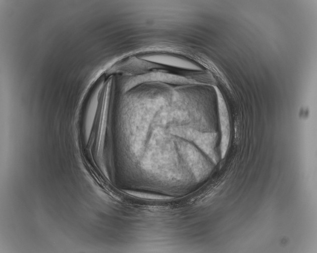 X0000096440436200802211214