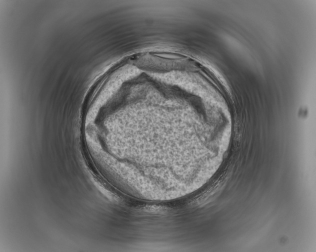 X0000096440437200802211214