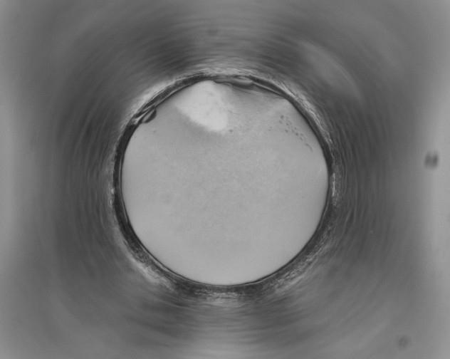 X0000096440438200802211214