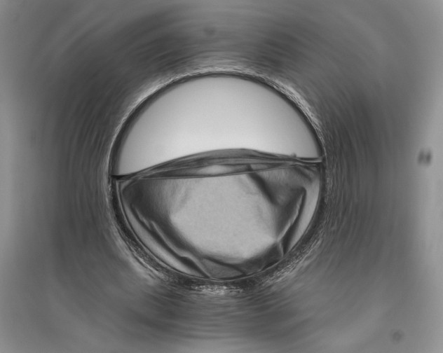 X0000096440439200802211214