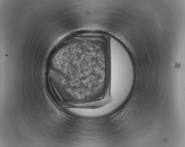 X0000096440440200802211214