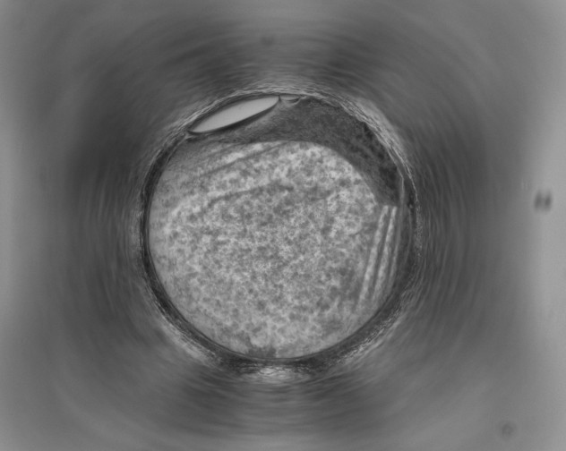 X0000096440441200802211214